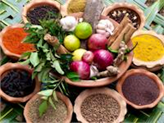 Ayurveda Nutrition for Healing